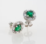 Puces d'oreilles Emera